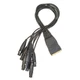 Planet Waves Modular Snake XLR Female Breakout