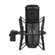 Senal SCM-660 Large-Diaphragm Multi-Pattern Condenser Microphone -