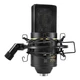 MXL 770 Multipurpose Small Diaphragm Cardioid Condenser Microphone