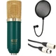 MXL V67G Large-diaphragm Condenser Microphone Bundle with Pop Filter and Cable