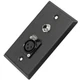 Seismic Audio SA-PLATE11 Black Stainless Steel Wall Plate with One 1/4-Inch T...