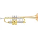 Yamaha YTR-8445 Xeno Series C Trumpet YTR-8445 Lacquer 197881425302
