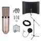 MXL V67G HE Microphone Bundle with sE Electronics RF-X, Pop Filter, Stand, Cable