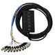 Pro Co Sound StageMaster SMA 12 Channel Snake Stagebox to Fanout, 8x Send + 4x X