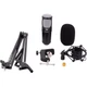 CAD Audio PM1200 Podmaster Super-D Broadcast / Podcast Microphone