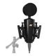 Neat King Bee II - Cardioid Large Diaphragm True Condenser Microphone Include...