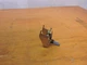 Peavey Part - Potentiometer - 71190402  50k.   Fits KB100 and more.