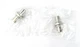 TMW BNC 307-BA  BNC Female to BNC Female Adapter, Set of 2 - NOS, Free Ship