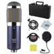 Liquid Audio MXL R144 Multi-Purpose Ribbon Microphone Bundle w/Pig Hog PHM10 ...