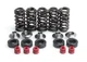 VALVE SPRING SET YZF400 YZF426, KIBBLEWHITE 80-80100 RACING, YAMAHA WR400/426 19