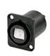 Neutrik NO4FDW-A Multi-Mode opticalCON Female Quad Chassis Connector (Black)