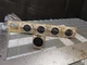 NEUTRIK NC3FP-1 Female Panel Mount XLR Connector Lot of 5