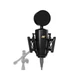 Neat King Bee II - Cardioid Large Diaphragm True Condenser Microphone Include...