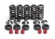 VALVE SPRING SET YZF400 YZF426, KIBBLEWHITE 80-80100 RACING, YAMAHA WR400/426