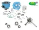 Top Thermal Group Kit D.47.6 + TPR Engine Shaft C.39.3 Piaggio NRG 50 2T Mc3