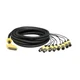 Lynx CBL-DIGY85 8-channel XLR digital I/O cable