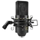 MXL 770 Condenser Microphone for Podcasting Singing Home Studio Recording New