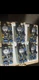 Neve ba283av vintage amp card  board rare !! World wide shipping!