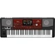 Korg Pa700 Oriental 61Key Arranger Workstation Black