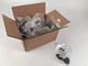 HUGE LOT - Middle Atlantic Products 91-00385 #6 black washer, 94 pks of 20 pcs