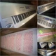 Korg Triton LE88 LE 88 + SUPER CLEAN + FAST SAFE SHIPPING + LoOK RARE !