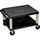 H. Wilson Tuffy Plastic 16" 2 Shelf Utility Cart 16 in., Black LN