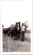 1950s Farm Photograph Man & Draft Horses Hay Wagon Americana ITT Stamp