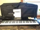 Roland W-30 Workstation Keyboard Piano Synth Sampler Sequencer W Case & Discs 🎹