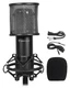 Rockville RCM01 PC Podcast Podcasting Recording Microphone Mic+Mount+Pop Filter