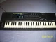 Casio HT-700 Keyboard Tested Works AC Adapter No Ram Card