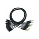 Mogami Gold 8 TRS-XLRM-05 Audio Adapter Snake Cable, 8 Channel Fan-Out, 1/4" ...