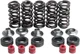 Kibblewhite Valve Spring Kit w/ Titanium Collar #80-80100 Yamaha