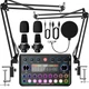 SINWE Podcast Equipment Bundle for 2,Audio Interface with Podcast Microphone ...