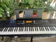 Yamaha PSR-EW300 76-Key Portable Digital Keyboard With Stand