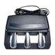 Roland Foot Pedal RPU-3 A1743 3-foot pedal jp