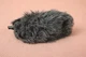 Rode DeadCat VMPR Artificial Fur Wind Shield &ndash; windshield for VIDEOMICPRO