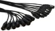 Mogami Gold 8 XLR-XLR 8-channel XLR Male to XLR Female Snake - 5'