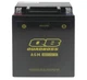 QuadBoss Maintenance-Free AGM Battery-YB12A-A2 for 1986-1988 Yamaha YFM225